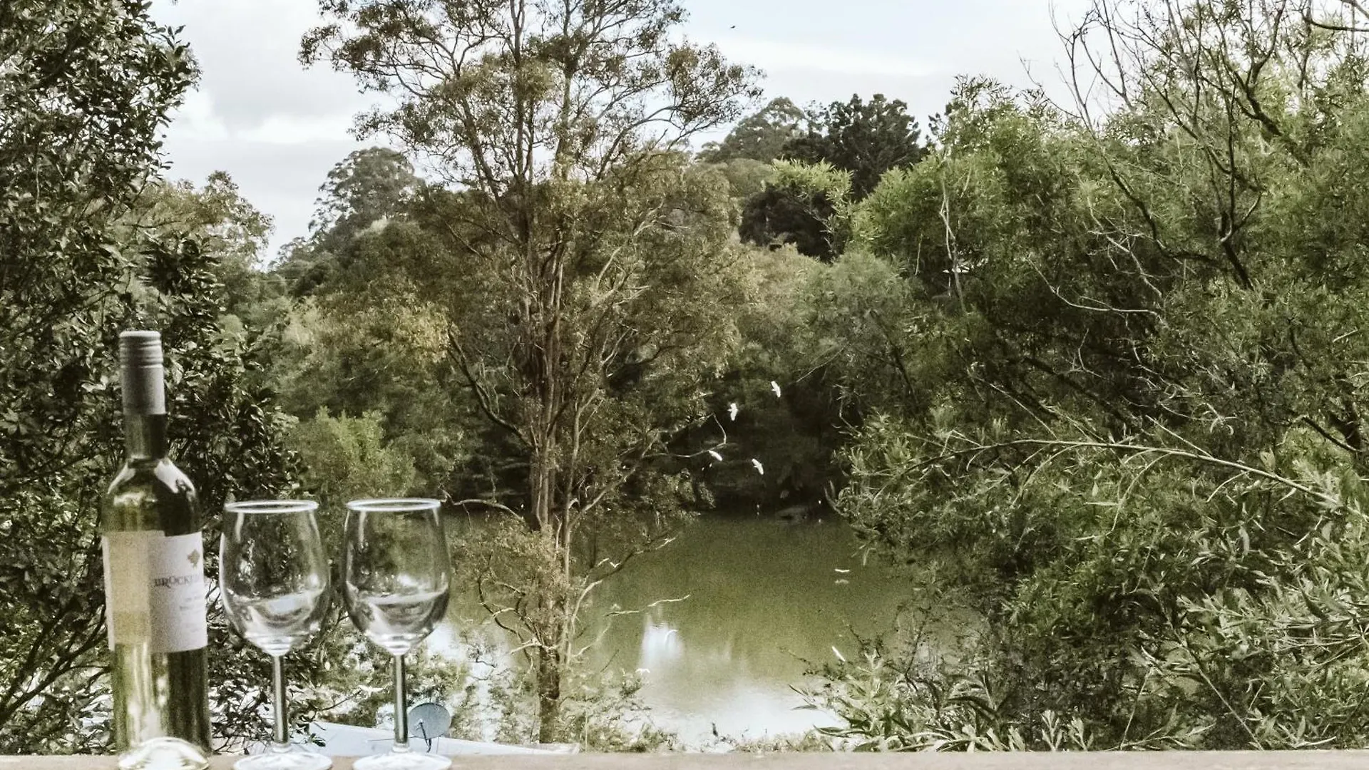 Private 2 Bedroom Cottage With Lakeview Maleny